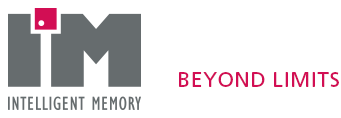 INTELLIGENT MEMORY